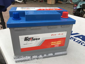 閻良蓄動(dòng)蓄電池代理商 西安星瑞機(jī)電設(shè)備蓄動(dòng)蓄電池廠(chǎng)家供應(yīng)圖片